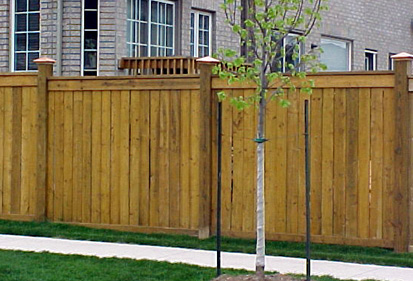 Wood Fence