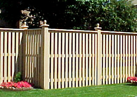 Fenced Yard Ideas