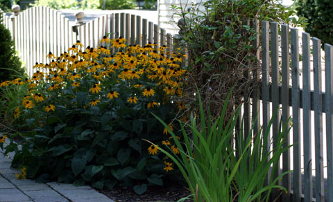 gaeden fence, picket fence, fence designes, how to