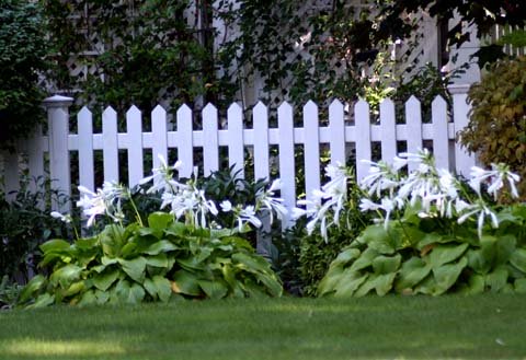 gaeden fence, picket fence, fence designes, how to